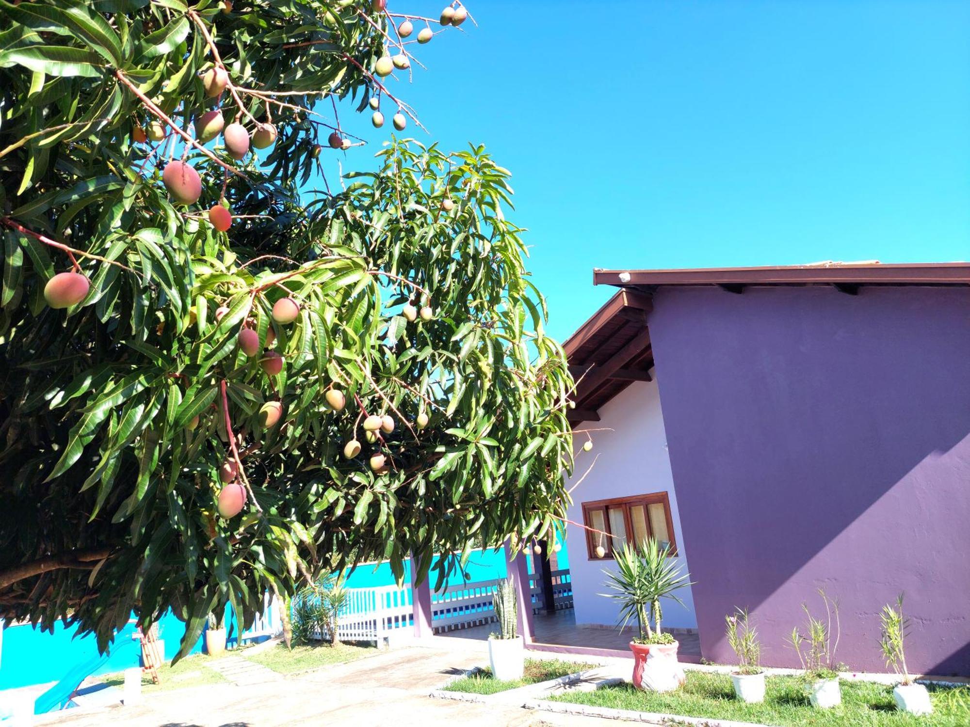 Temporada Belas Casas Sao Pedro  Exteriör bild